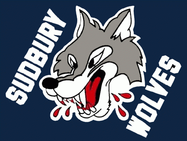 Sudbury Wolves 1989-2009 jersey logo v2 iron on transfers for clothing